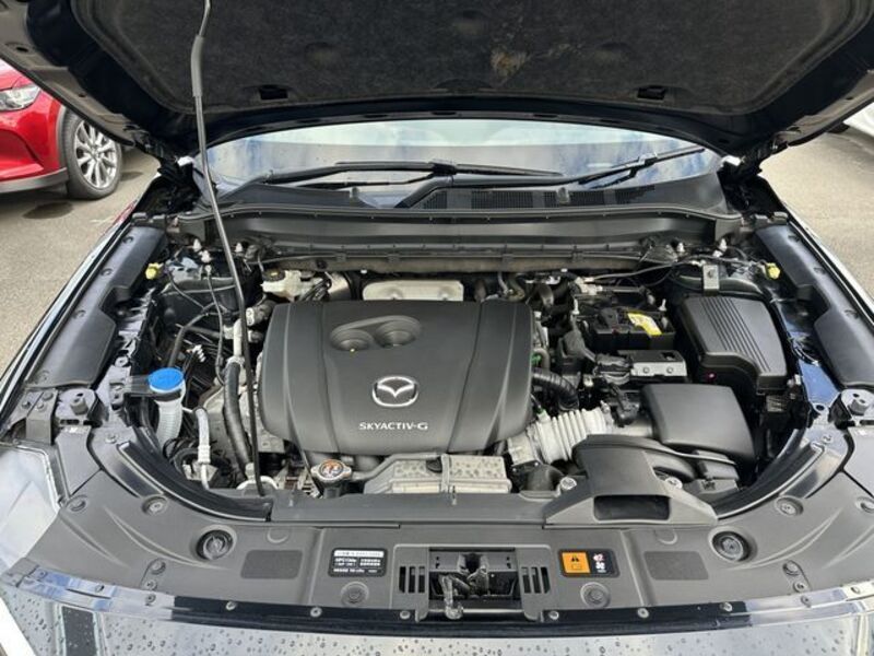 CX-8