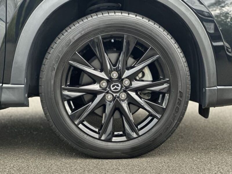 CX-8