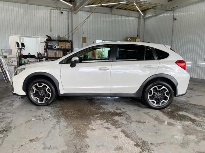 XV