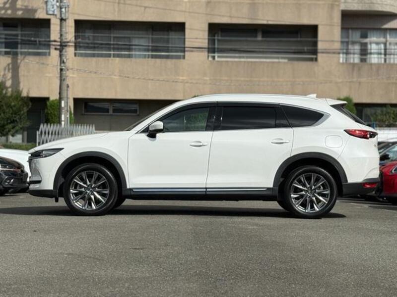 CX-8