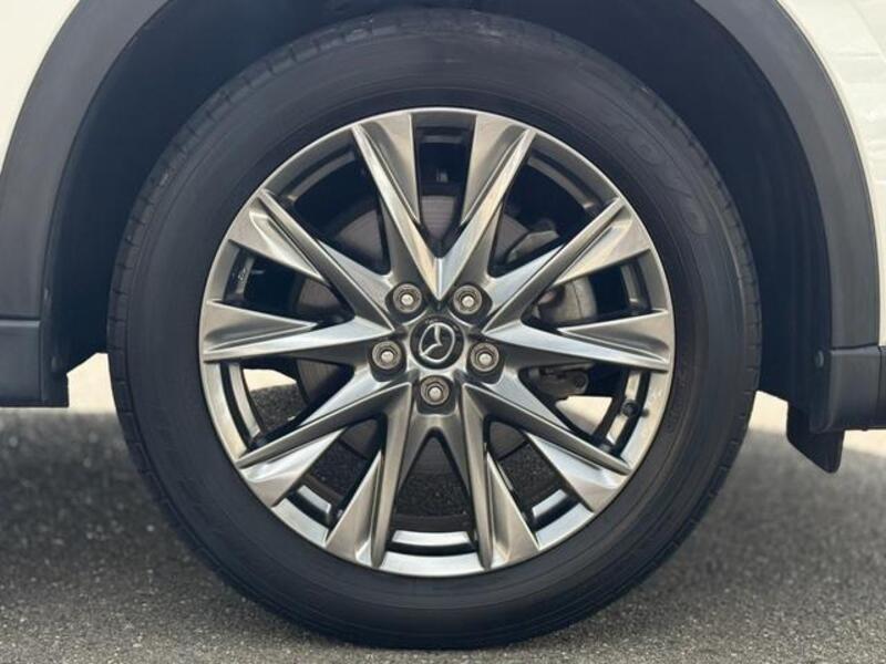 CX-8