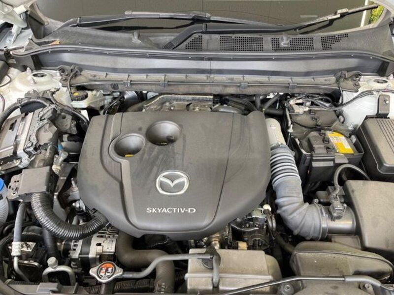 CX-8
