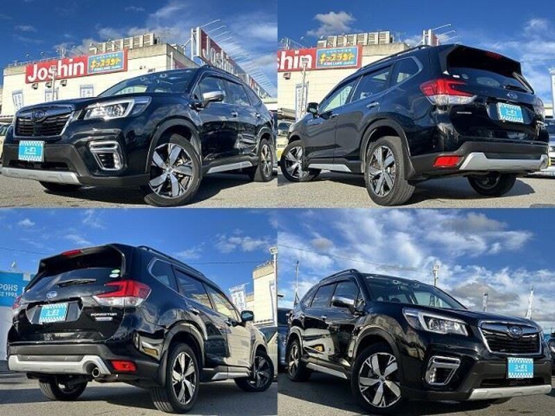 FORESTER