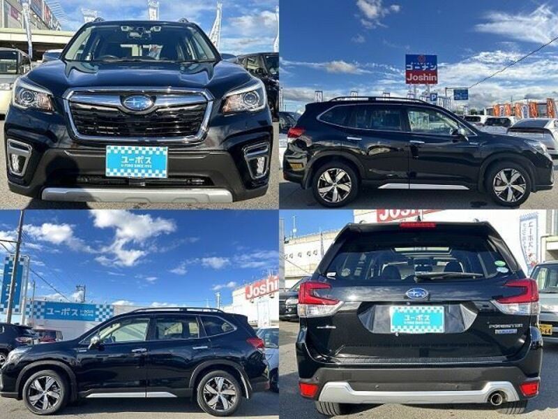 FORESTER