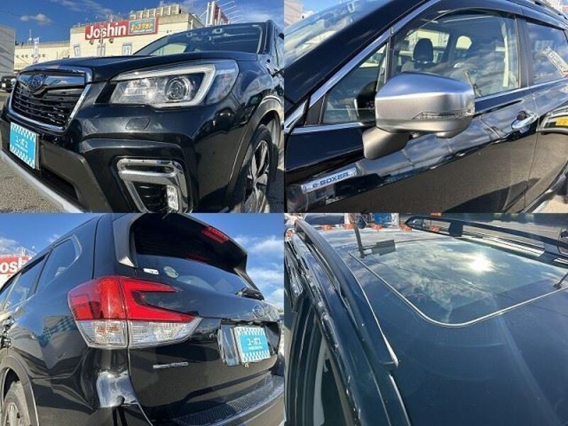 FORESTER