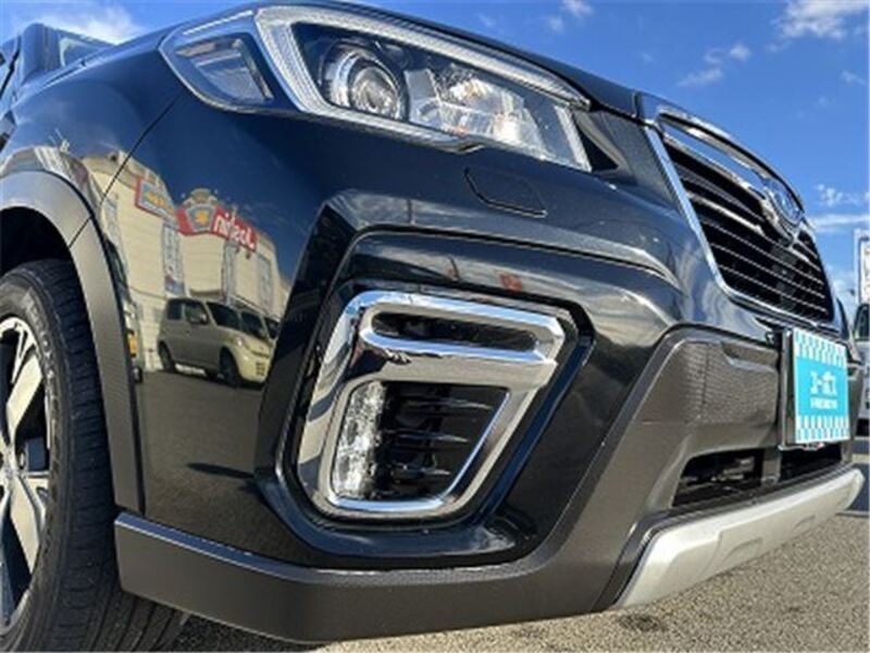 FORESTER