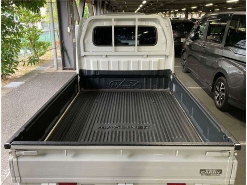 CARRY TRUCK