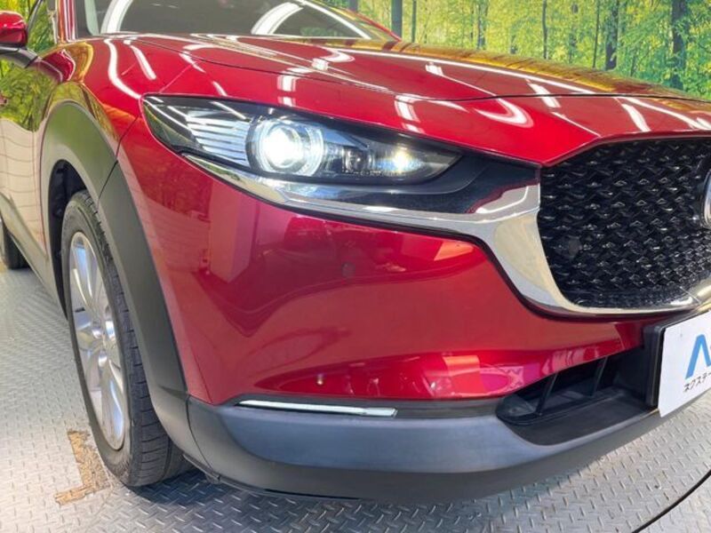 CX-30