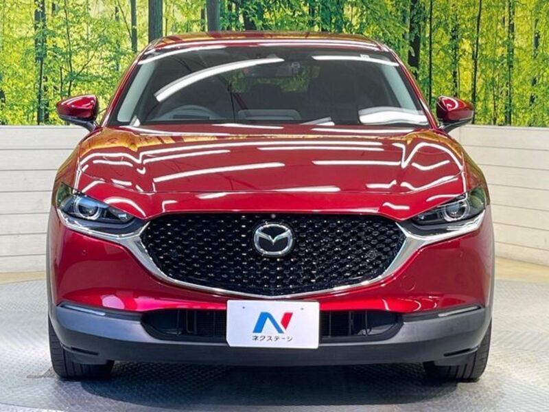 CX-30