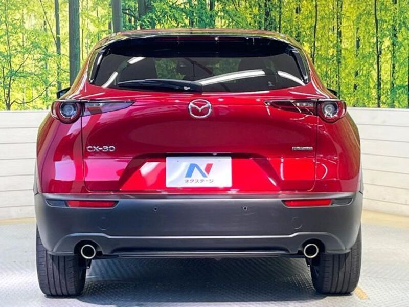 CX-30