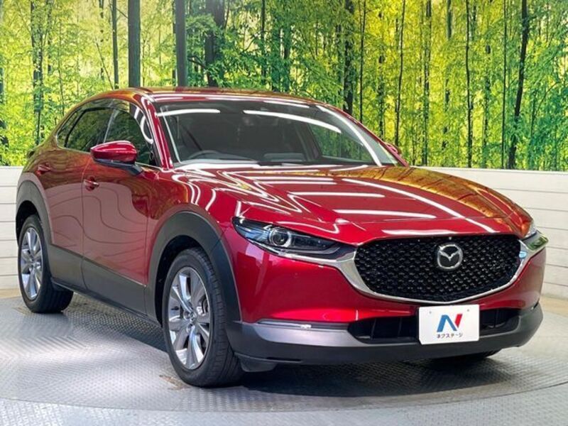 CX-30