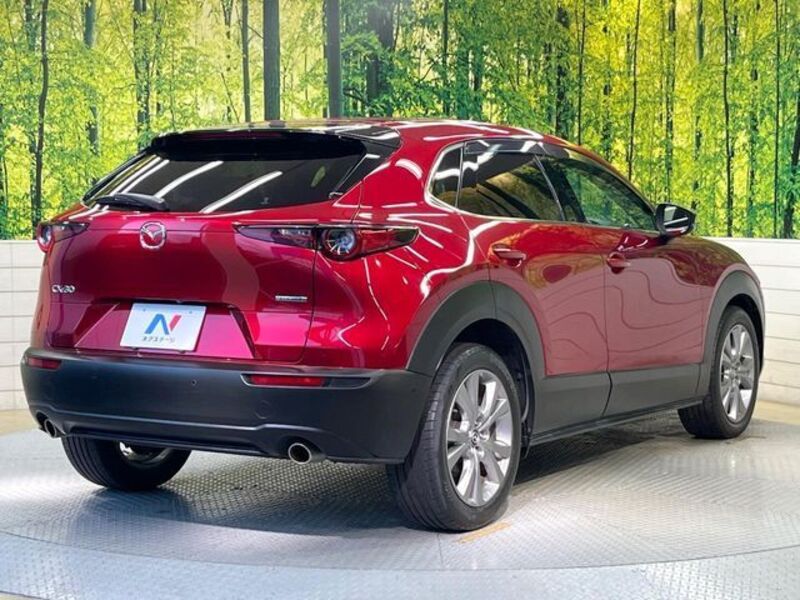 CX-30