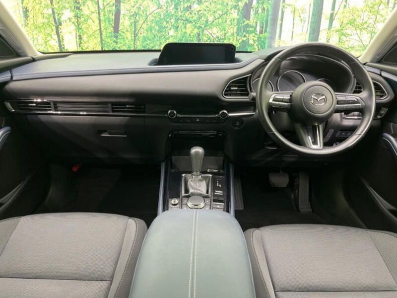 CX-30