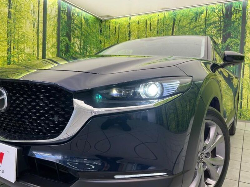 CX-30