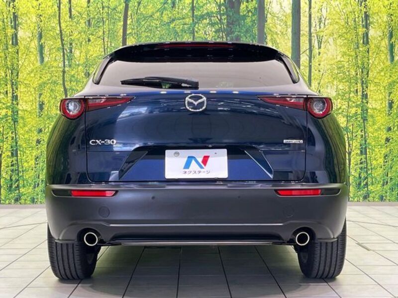 CX-30