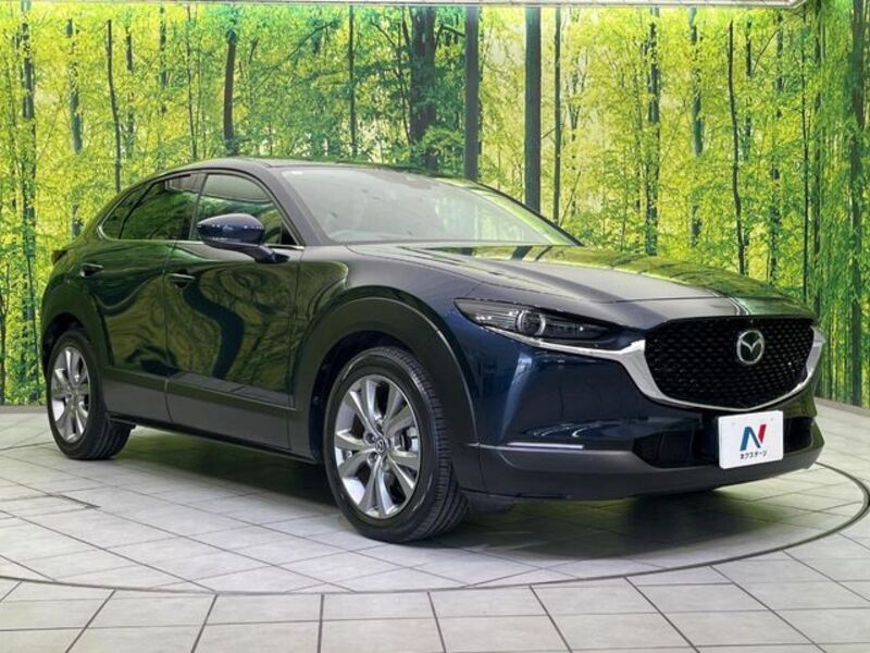 CX-30