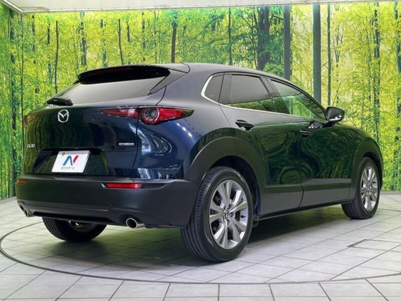 CX-30