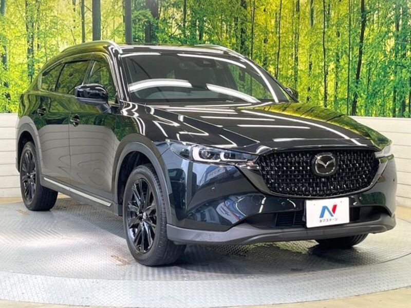 CX-8