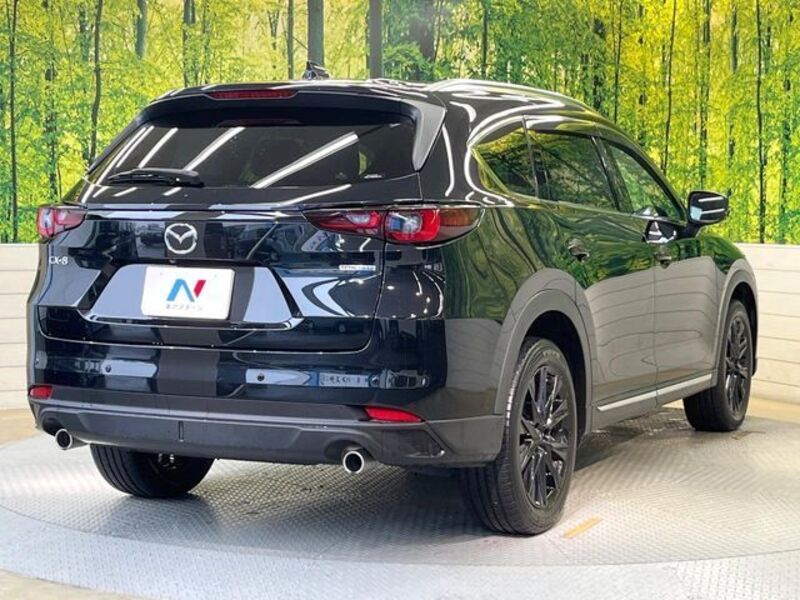 CX-8