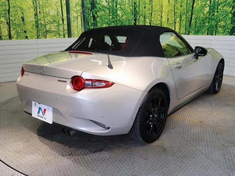 ROADSTER