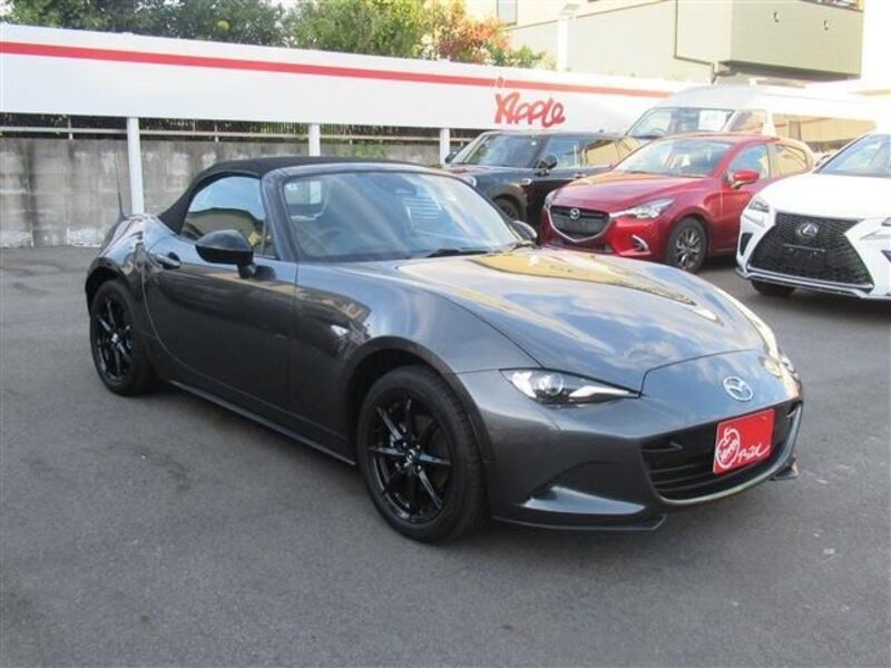 ROADSTER