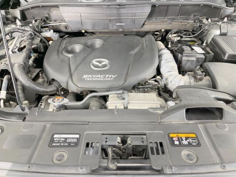CX-8