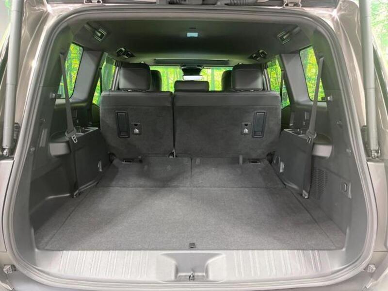 LAND CRUISER 250