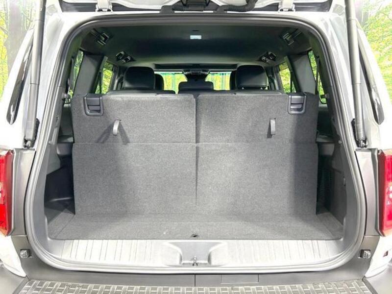 LAND CRUISER 250