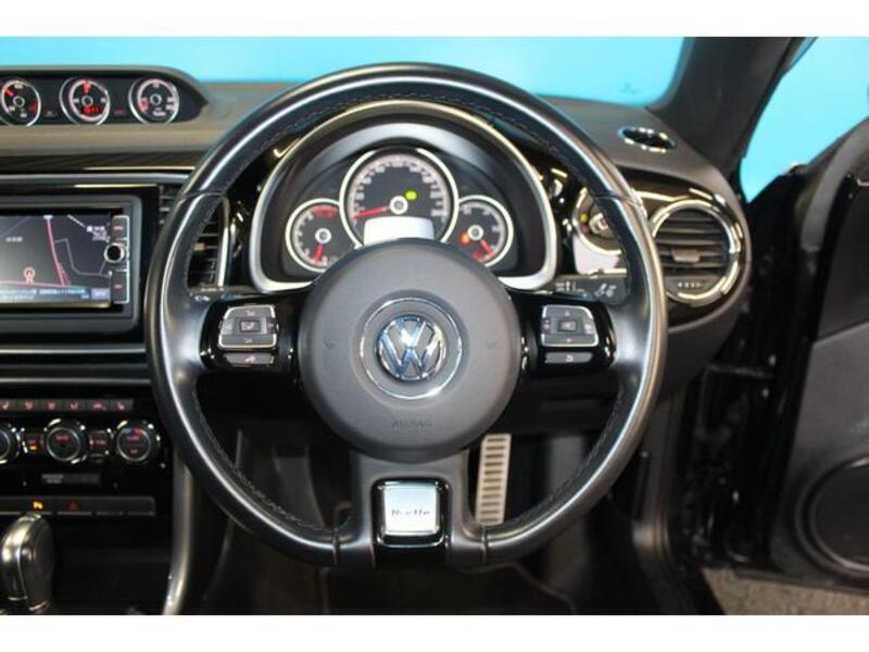 THE BEETLE