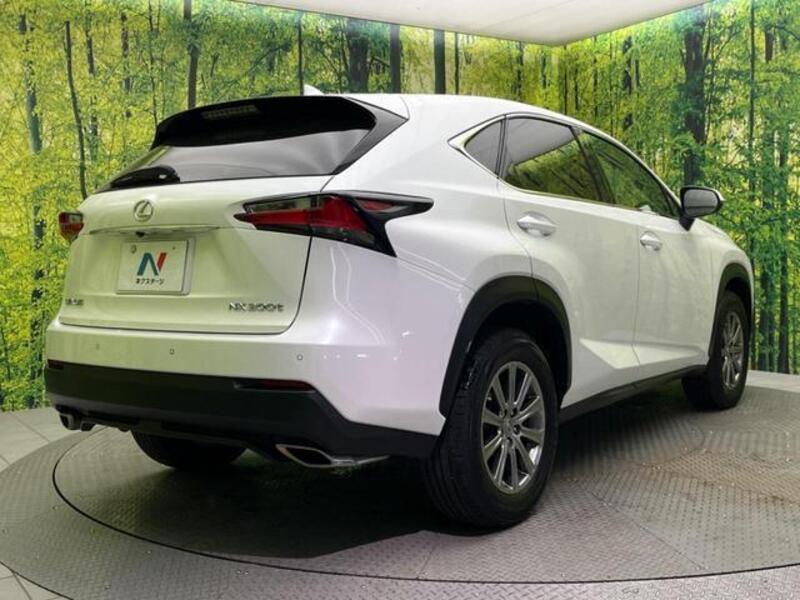 NX