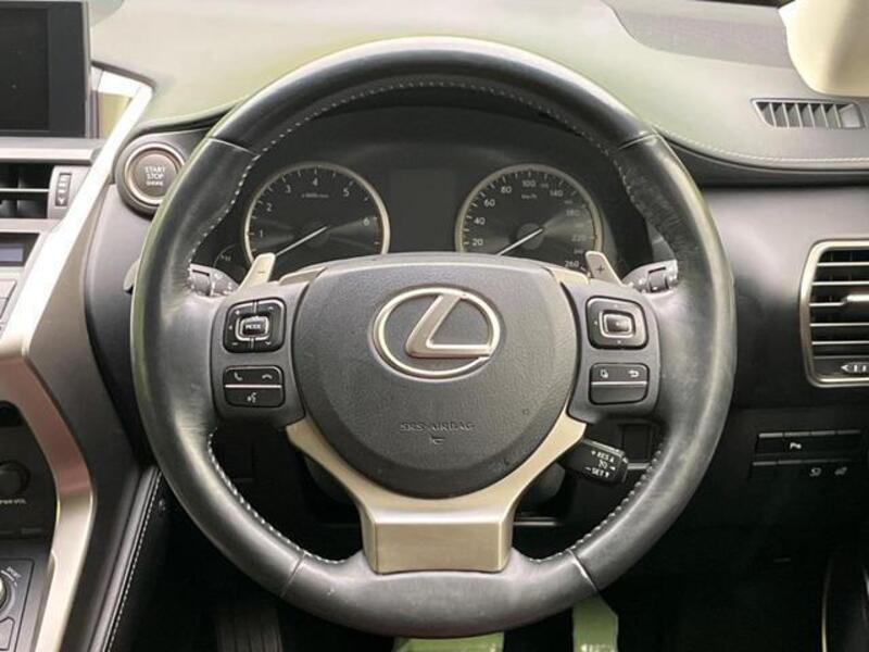 NX