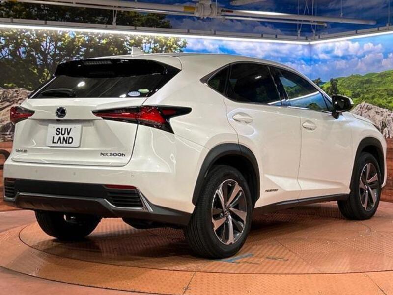 NX