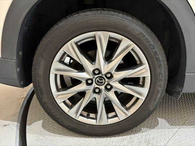 CX-8