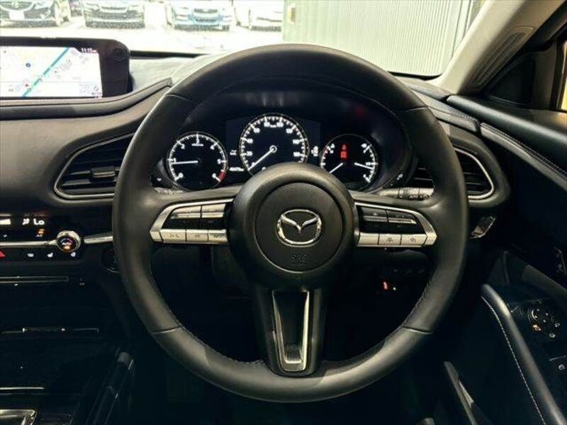 CX-30