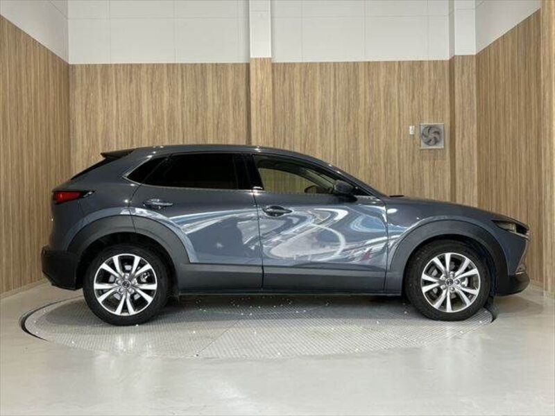 CX-30