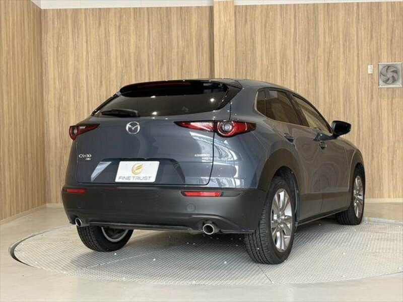 CX-30