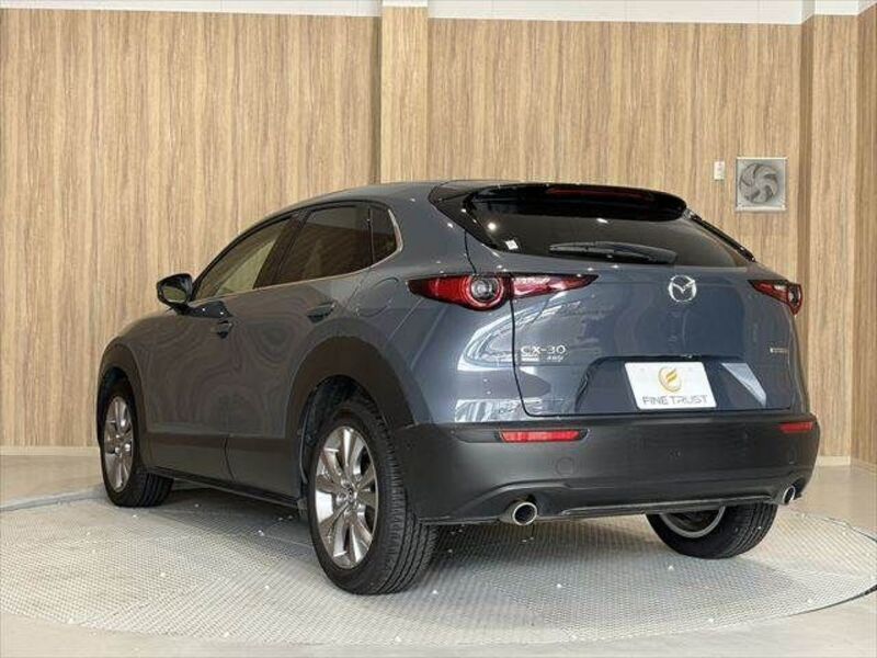 CX-30