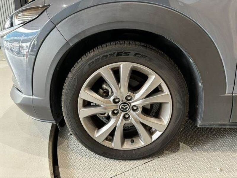 CX-30