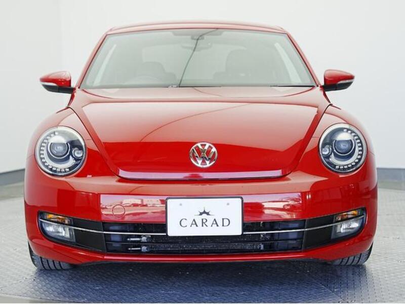 THE BEETLE