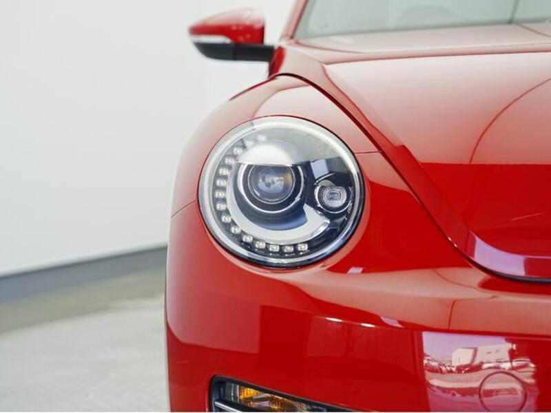 THE BEETLE