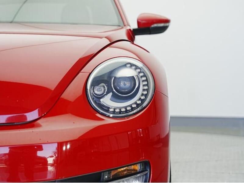 THE BEETLE