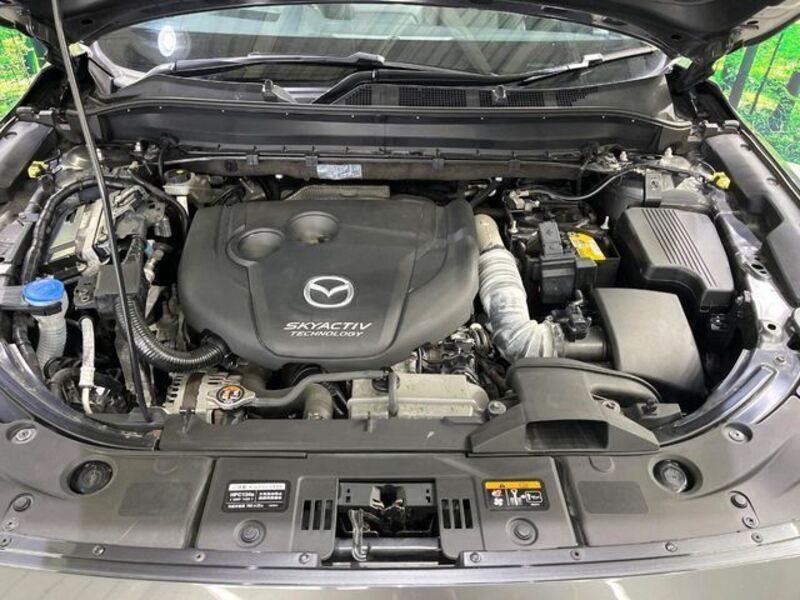 CX-8
