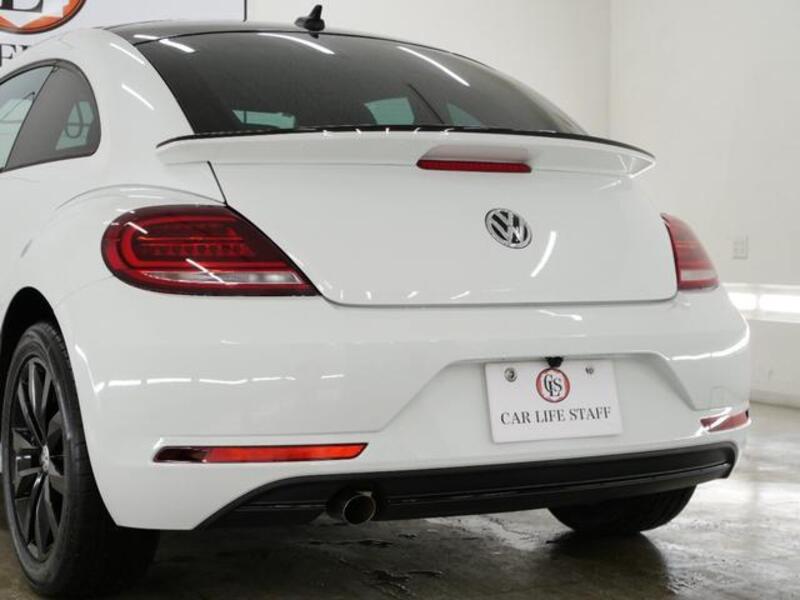 THE BEETLE