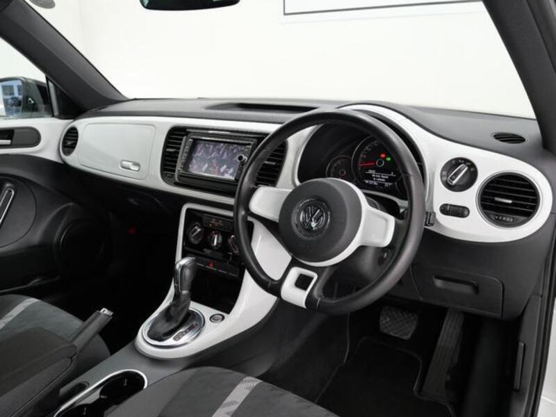 THE BEETLE