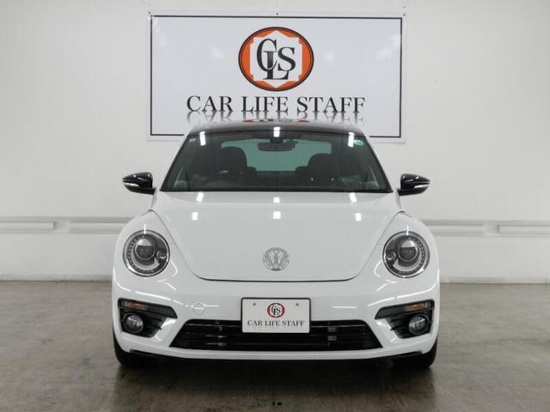THE BEETLE