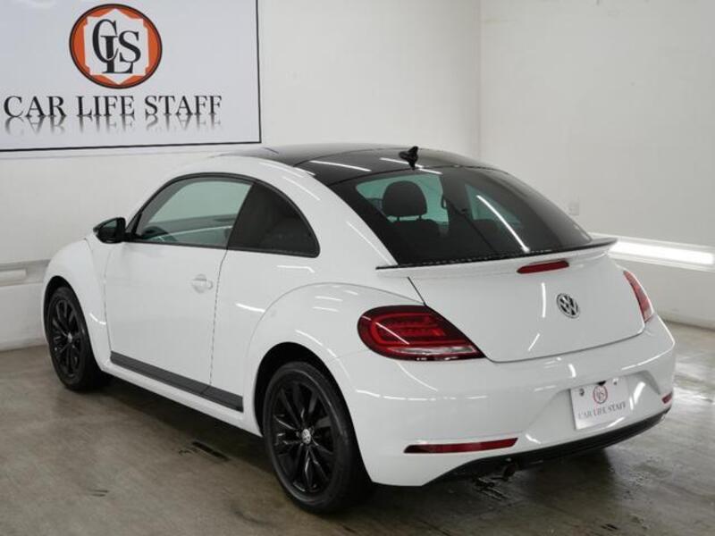 THE BEETLE