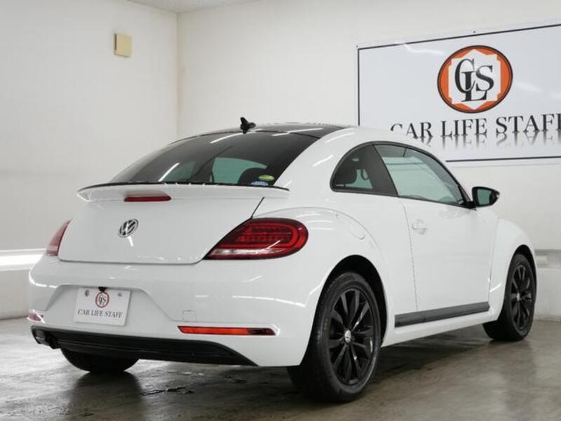 THE BEETLE