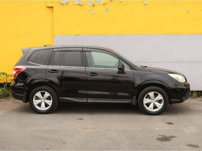 FORESTER