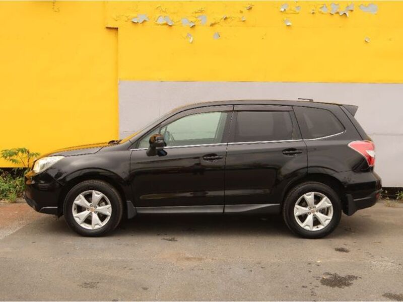 FORESTER