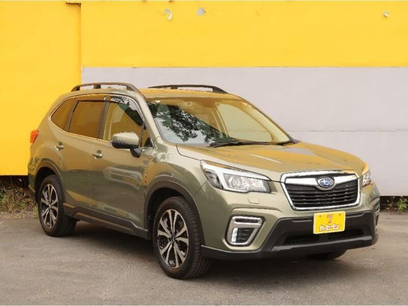 FORESTER